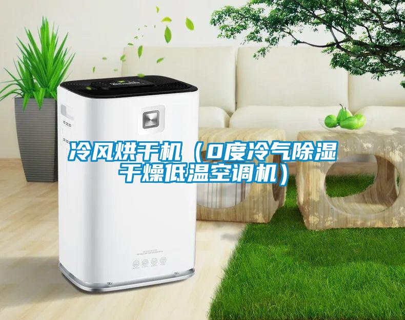 冷風烘干機（0度冷氣除濕干燥低溫空調(diào)機）