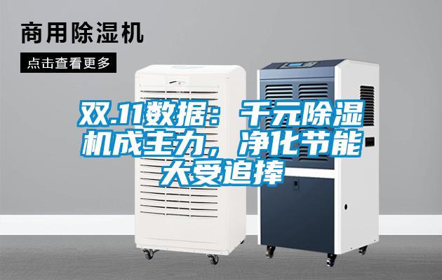雙.11數(shù)據(jù)：千元除濕機(jī)成主力，凈化節(jié)能大受追捧