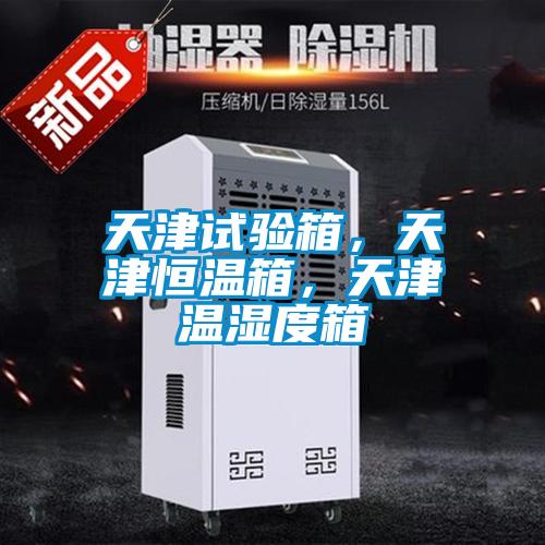 天津試驗箱，天津恒溫箱，天津溫濕度箱