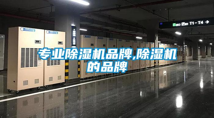 專業(yè)除濕機(jī)品牌,除濕機(jī)的品牌