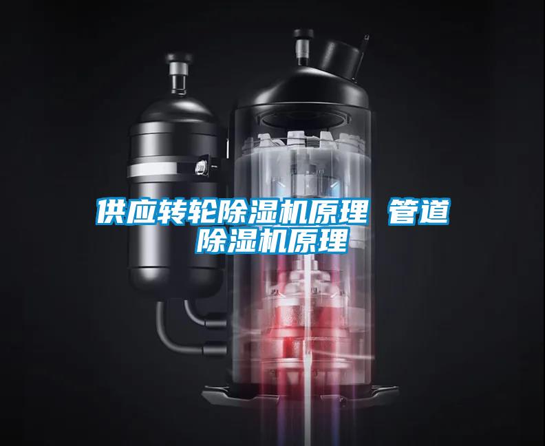 供應(yīng)轉(zhuǎn)輪除濕機(jī)原理 管道除濕機(jī)原理