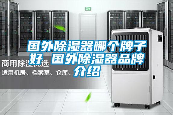 國外除濕器哪個(gè)牌子好 國外除濕器品牌介紹