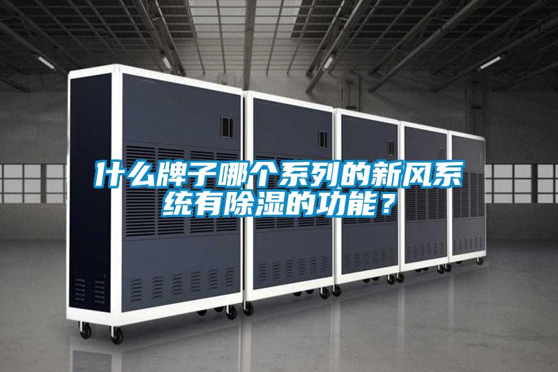 什么牌子哪個(gè)系列的新風(fēng)系統(tǒng)有除濕的功能？