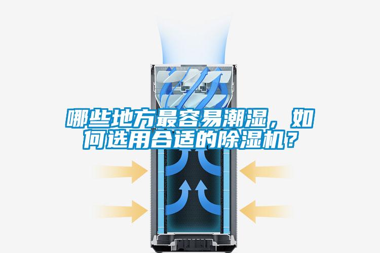 哪些地方最容易潮濕，如何選用合適的除濕機？