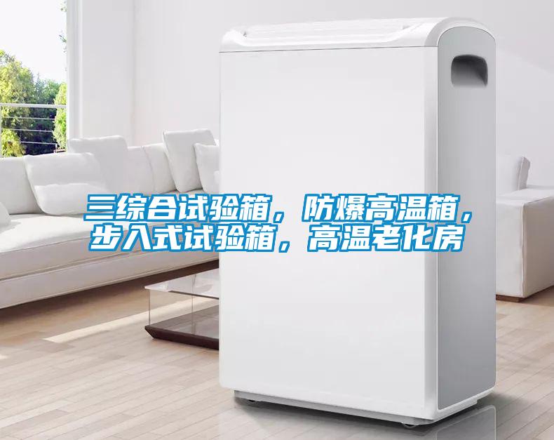 三綜合試驗(yàn)箱，防爆高溫箱，步入式試驗(yàn)箱，高溫老化房