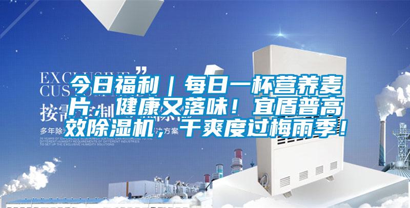 今日福利｜每日一杯營養(yǎng)麥片，健康又落味！宜盾普高效除濕機，干爽度過梅雨季！