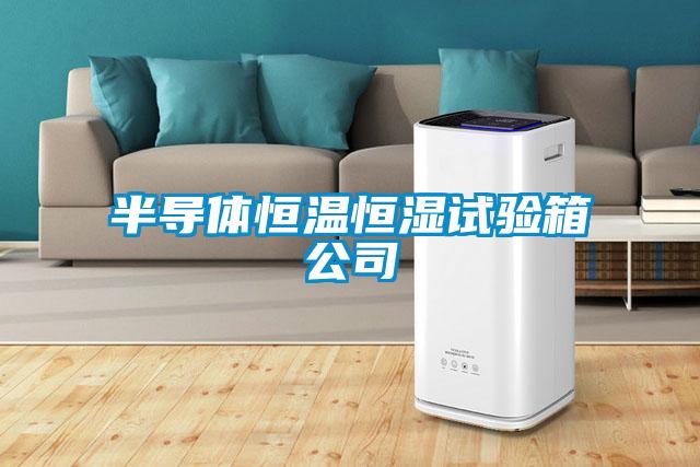 半導(dǎo)體恒溫恒濕試驗箱公司