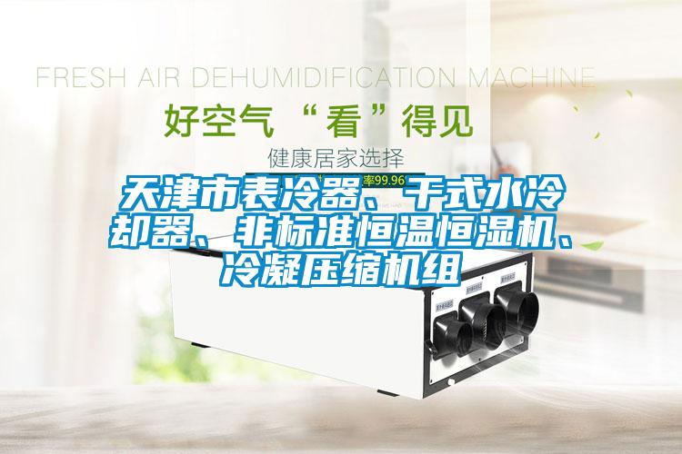 天津市表冷器、干式水冷卻器、非標(biāo)準(zhǔn)恒溫恒濕機(jī)、冷凝壓縮機(jī)組