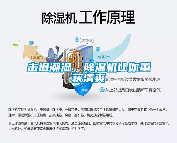擊退潮濕，除濕機讓你重獲清爽