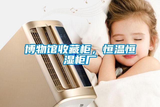 博物館收藏柜，恒溫恒濕柜廠