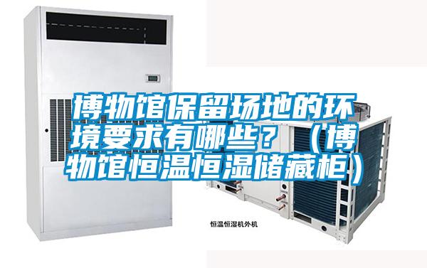 博物館保留場地的環(huán)境要求有哪些？（博物館恒溫恒濕儲藏柜）