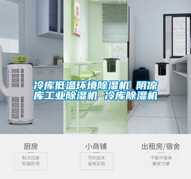 冷庫低溫環(huán)境除濕機 陰涼庫工業(yè)除濕機 冷庫除濕機