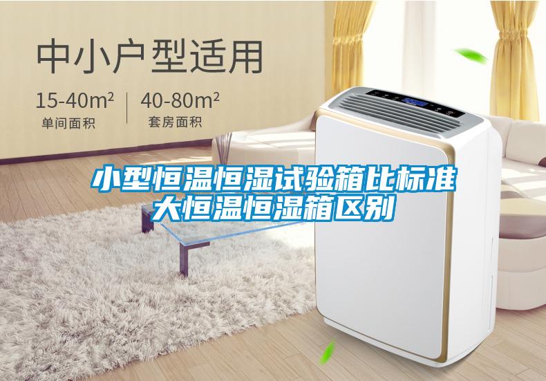 小型恒溫恒濕試驗箱比標(biāo)準(zhǔn)大恒溫恒濕箱區(qū)別