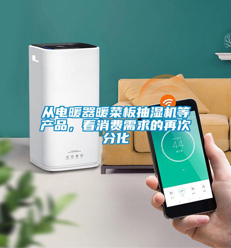 從電暖器暖菜板抽濕機(jī)等產(chǎn)品，看消費(fèi)需求的再次分化