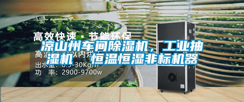 涼山州車間除濕機，工業(yè)抽濕機  恒溫恒濕非標機器