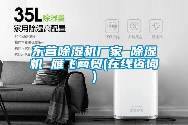東營除濕機(jī)廠家 除濕機(jī) 雁飛商貿(mào)(在線咨詢)