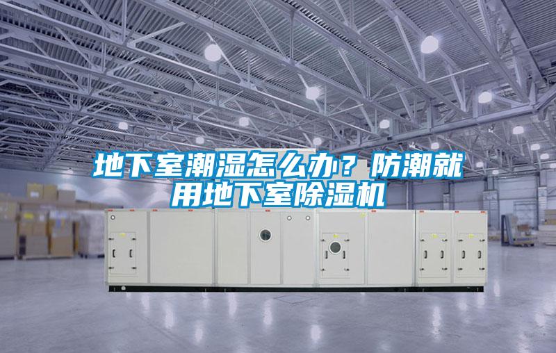 地下室潮濕怎么辦？防潮就用地下室除濕機(jī)