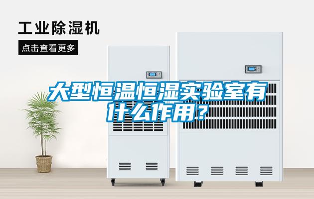 大型恒溫恒濕實(shí)驗(yàn)室有什么作用？