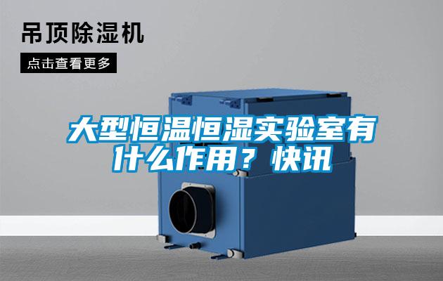 大型恒溫恒濕實驗室有什么作用？快訊