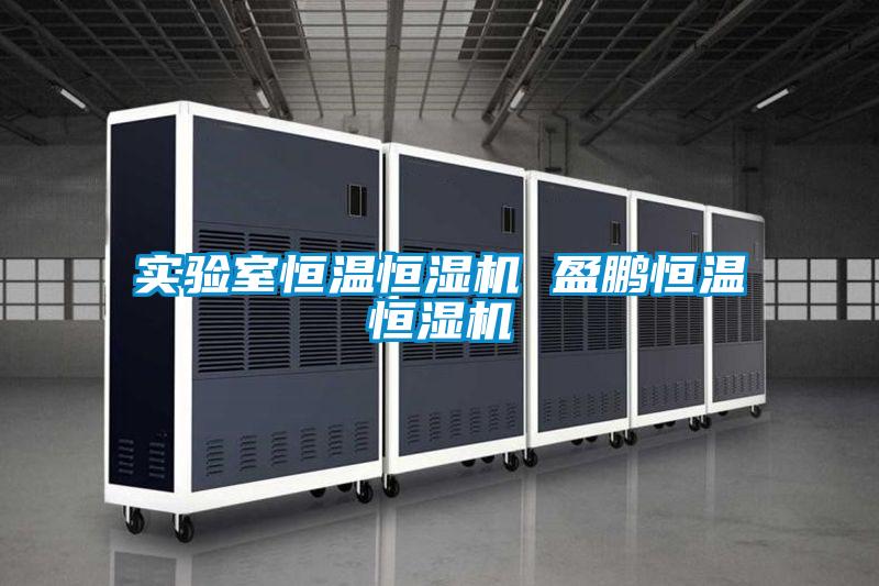 實驗室恒溫恒濕機(jī) 盈鵬恒溫恒濕機(jī)