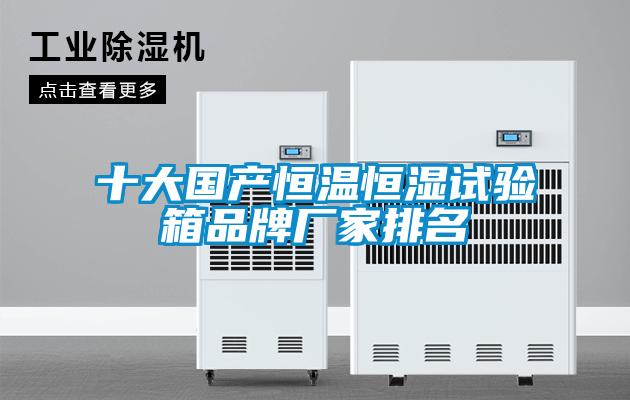 十大國產(chǎn)恒溫恒濕試驗箱品牌廠家排名