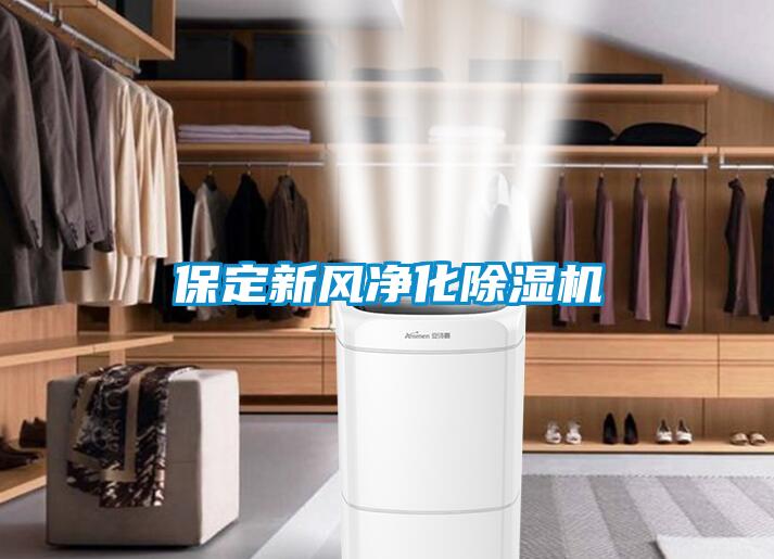 保定新風(fēng)凈化除濕機(jī)