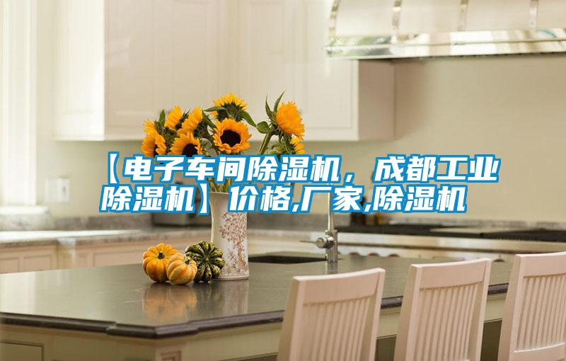 【電子車間除濕機(jī)，成都工業(yè)除濕機(jī)】價格,廠家,除濕機(jī)