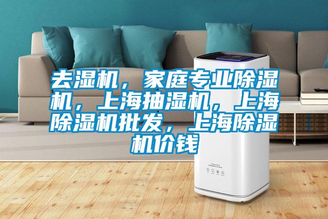 去濕機，家庭專業(yè)除濕機，上海抽濕機，上海除濕機批發(fā)，上海除濕機價錢