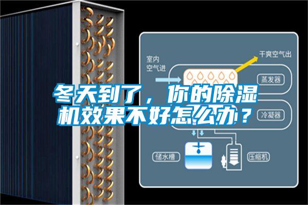 冬天到了，你的除濕機效果不好怎么辦？