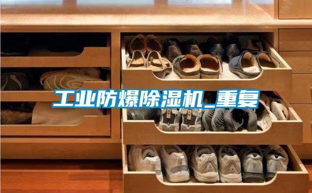 工業(yè)防爆除濕機_重復(fù)
