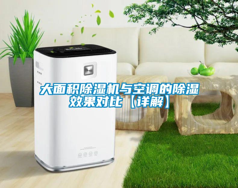 大面積除濕機(jī)與空調(diào)的除濕效果對(duì)比【詳解】