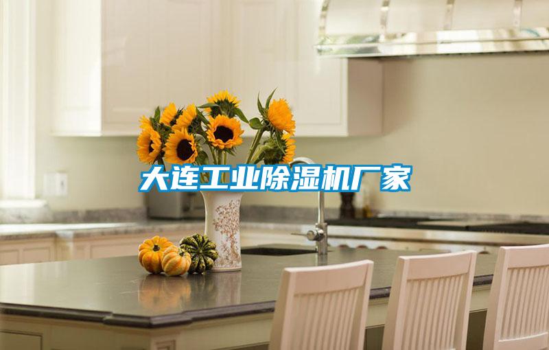 大連工業(yè)除濕機廠家