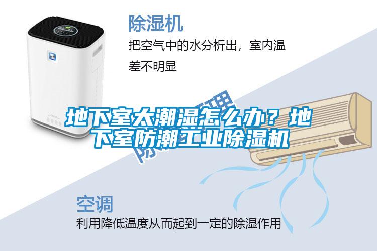 地下室太潮濕怎么辦？地下室防潮工業(yè)除濕機