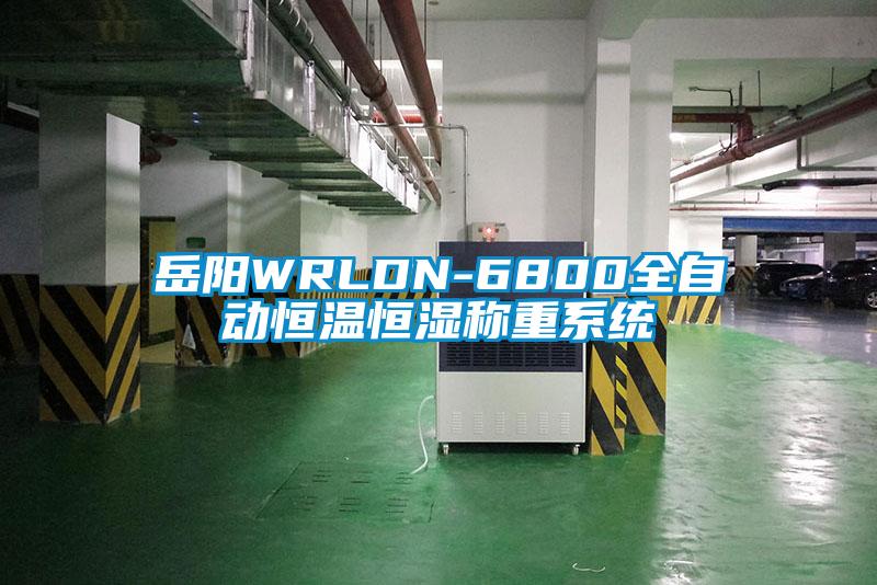 岳陽(yáng)WRLDN-6800全自動(dòng)恒溫恒濕稱(chēng)重系統(tǒng)