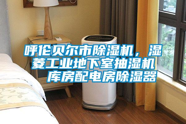 呼倫貝爾市除濕機(jī)，濕菱工業(yè)地下室抽濕機(jī)  庫(kù)房配電房除濕器