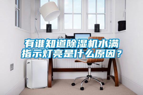 有誰知道除濕機水滿指示燈亮是什么原因？