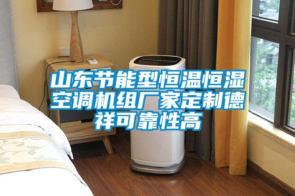 山東節(jié)能型恒溫恒濕空調(diào)機(jī)組廠家定制德祥可靠性高