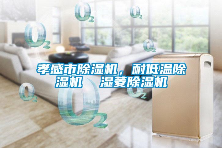 孝感市除濕機(jī)，耐低溫除濕機(jī)  濕菱除濕機(jī)