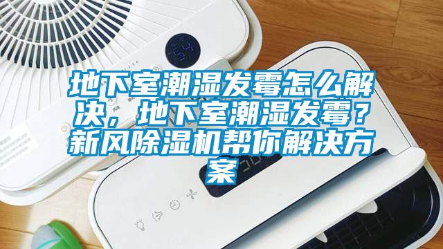 地下室潮濕發(fā)霉怎么解決，地下室潮濕發(fā)霉？新風(fēng)除濕機(jī)幫你解決方案