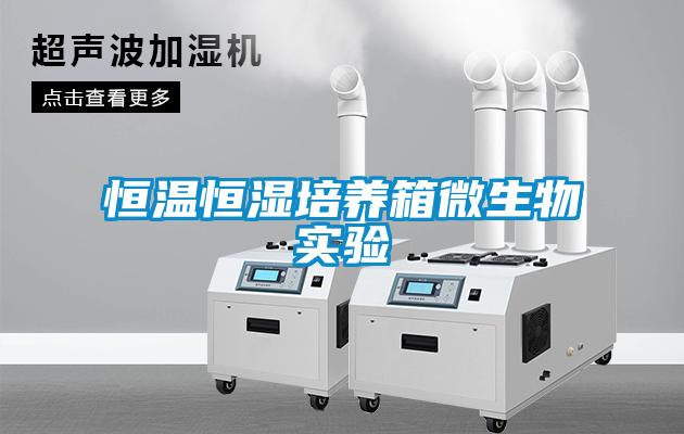 恒溫恒濕培養(yǎng)箱微生物實(shí)驗(yàn)