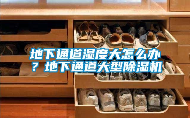 地下通道濕度大怎么辦？地下通道大型除濕機(jī)