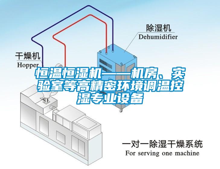 恒溫恒濕機——機房、實驗室等高精密環(huán)境調(diào)溫控濕專業(yè)設(shè)備