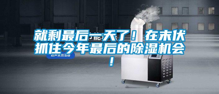 就剩最后一天了！在末伏抓住今年最后的除濕機(jī)會！
