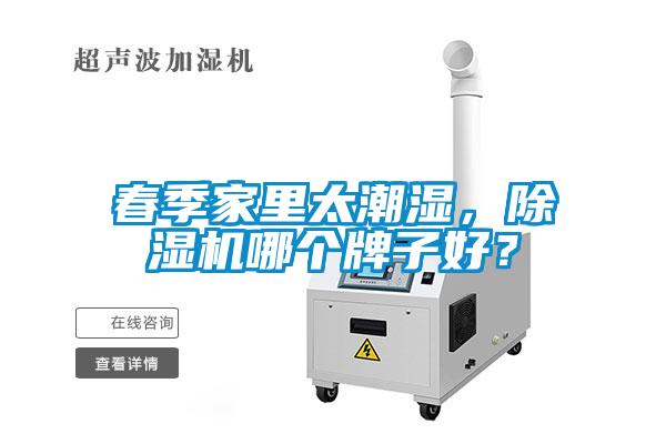 春季家里太潮濕，除濕機哪個牌子好？