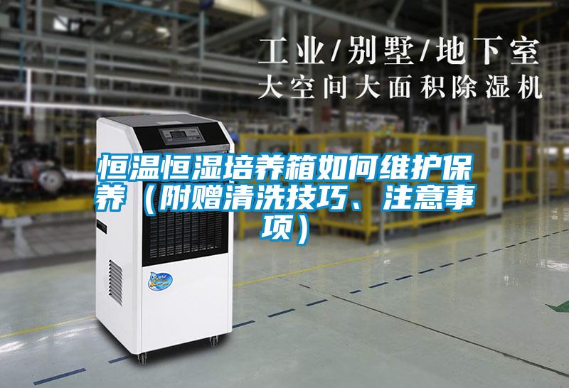 恒溫恒濕培養(yǎng)箱如何維護保養(yǎng)（附贈清洗技巧、注意事項）