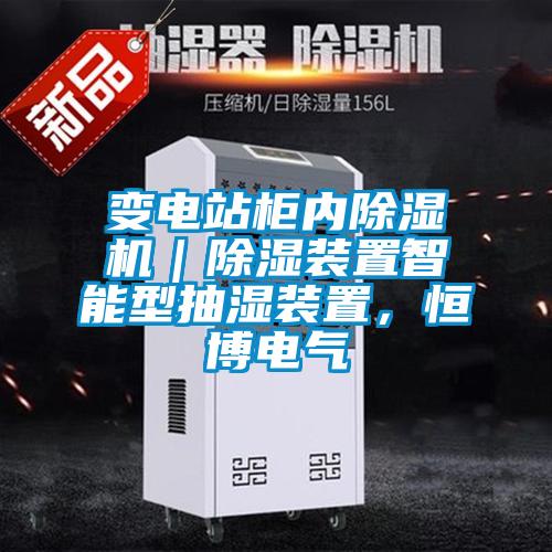 變電站柜內(nèi)除濕機(jī)｜除濕裝置智能型抽濕裝置，恒博電氣