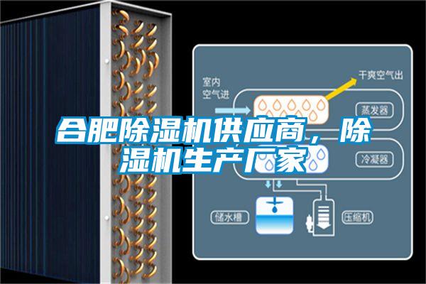 合肥除濕機供應(yīng)商，除濕機生產(chǎn)廠家