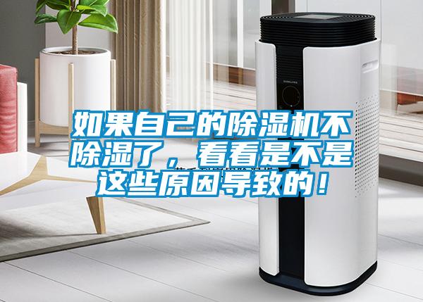 如果自己的除濕機不除濕了，看看是不是這些原因導致的！
