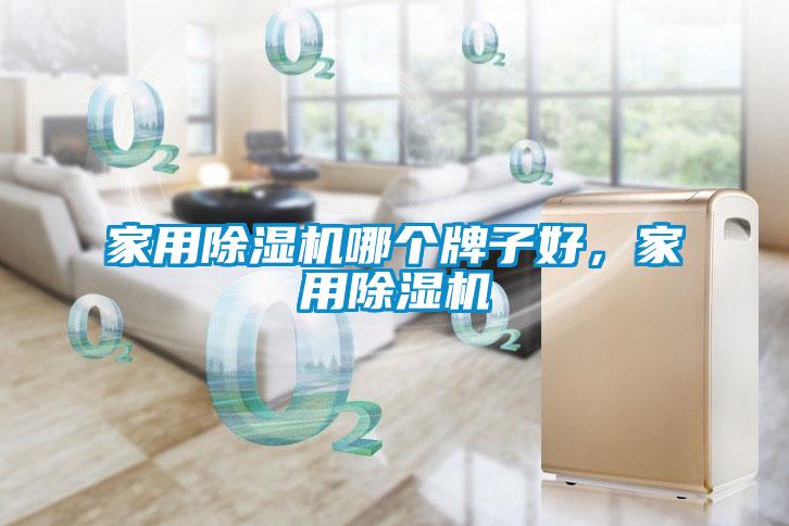 家用除濕機(jī)哪個(gè)牌子好，家用除濕機(jī)