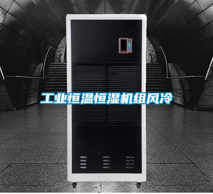 工業(yè)恒溫恒濕機組風(fēng)冷